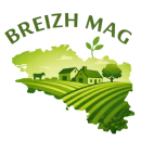 logo BreizhMag